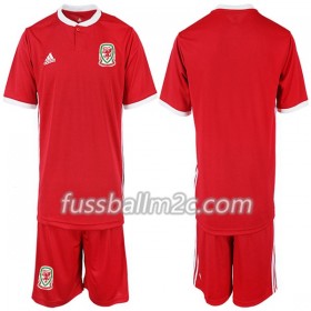 Fußballtrikots Wales Kinder Heim Trikotsatz 2018-2019